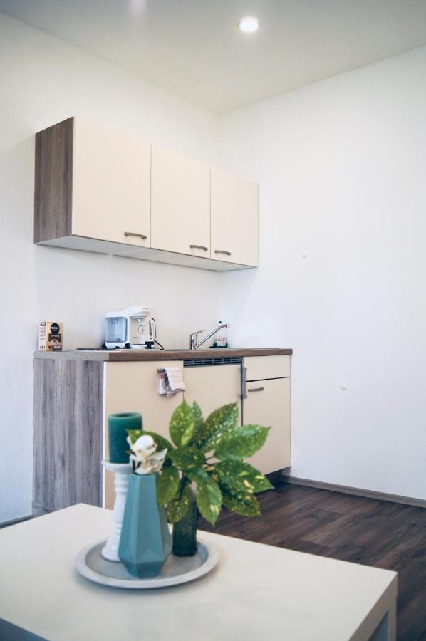 Beautiful Apartment 3 City Center فيينا المظهر الخارجي الصورة